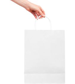 Pack of 250 Paper Shopping Bags 8 x 4.75 x 10.5. White Kraft Carry-Out Bags 8 x 4 3/4 x 10 1/2 Merchandise Gift Bags. Reusable Durable Bags with Handl