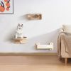 Wall Mounted Cat Tree, Cat Wall Furniture with Capsule Bed, Cushioned Shelf, Scratcher, Floating Wood Cat Tree for Indoor Cats Kitties, 3 PCS